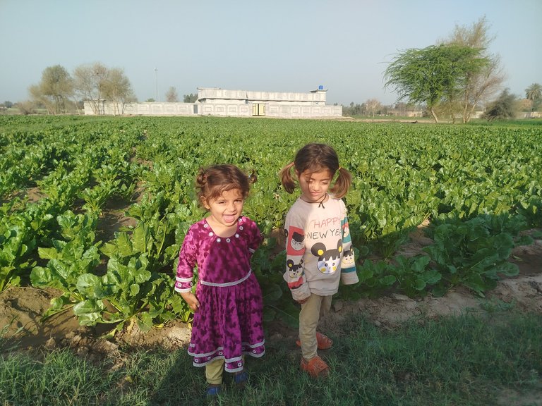 My Actifit Report Card: March 5 2026