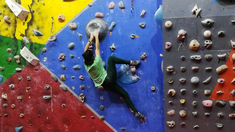 My Actifit Report Card: January 7 2024