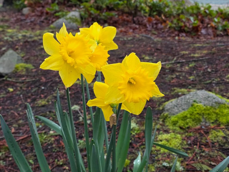 My Actifit Report Card: March 13 2026