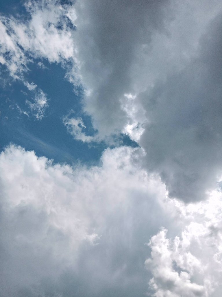 My Actifit Report Card: January 14 2026