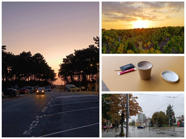 Travelling to Atlantic ocean in France - My Actifit Report Card: August 21 2025