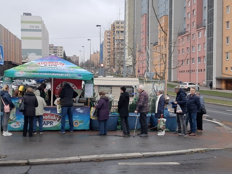 My Actifit Report Card: December 22 2025