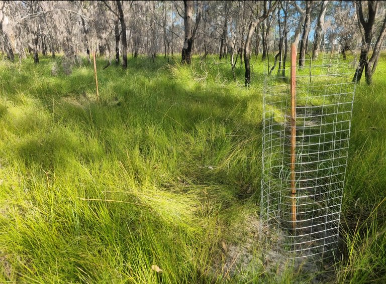 My Actifit Report Card: January 16 2026