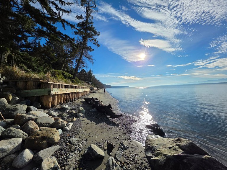 My Actifit Report Card: March 18 2026