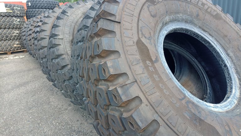 My Actifit Report Card: June 16 2026