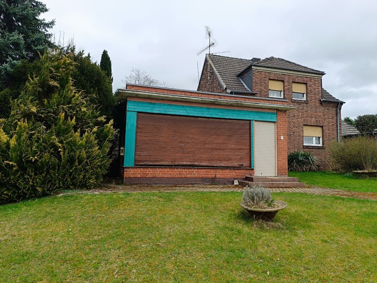 My Actifit Report Card: March 13 2026