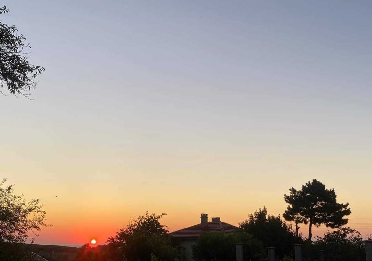 My Actifit Report Card: August 9 2024