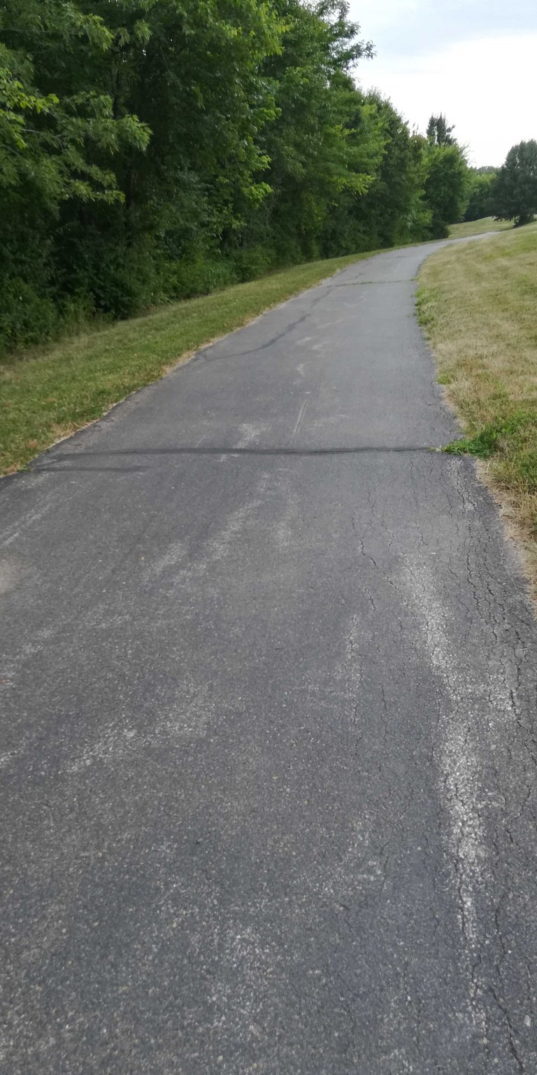 My Actifit Report Card: July 16 2022