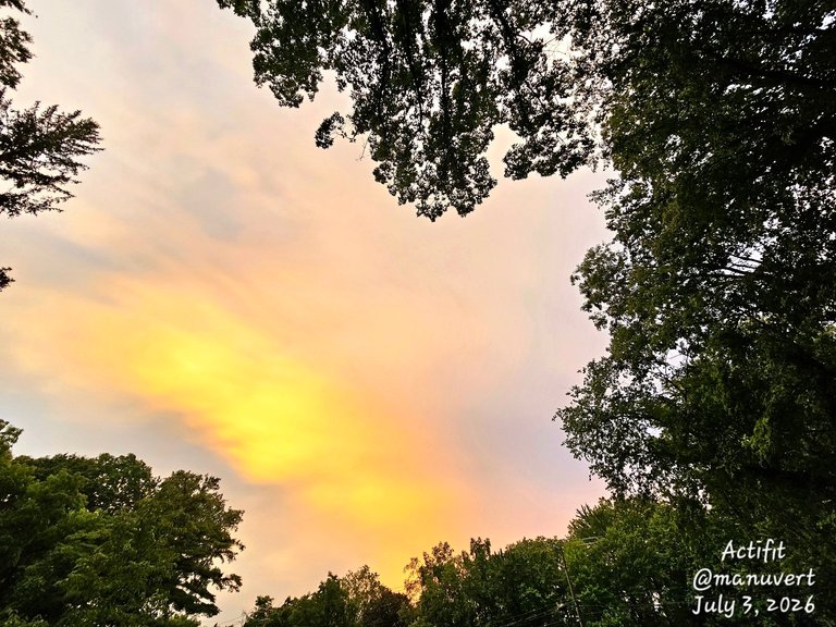 My Actifit Report Card: July 3 2026