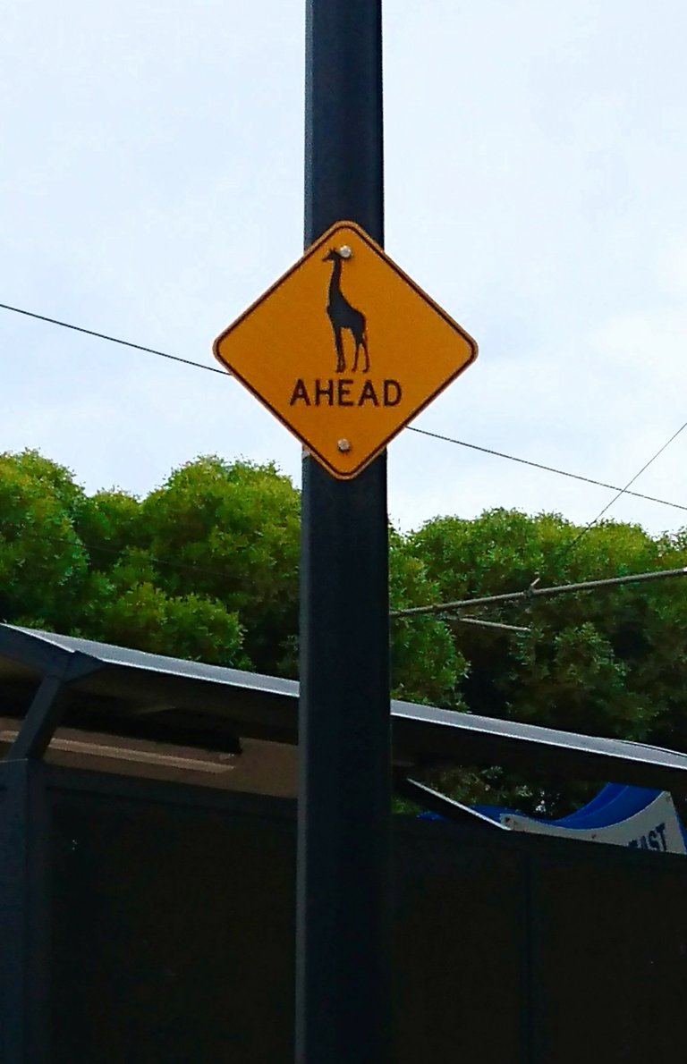 Giraffe ahead sign