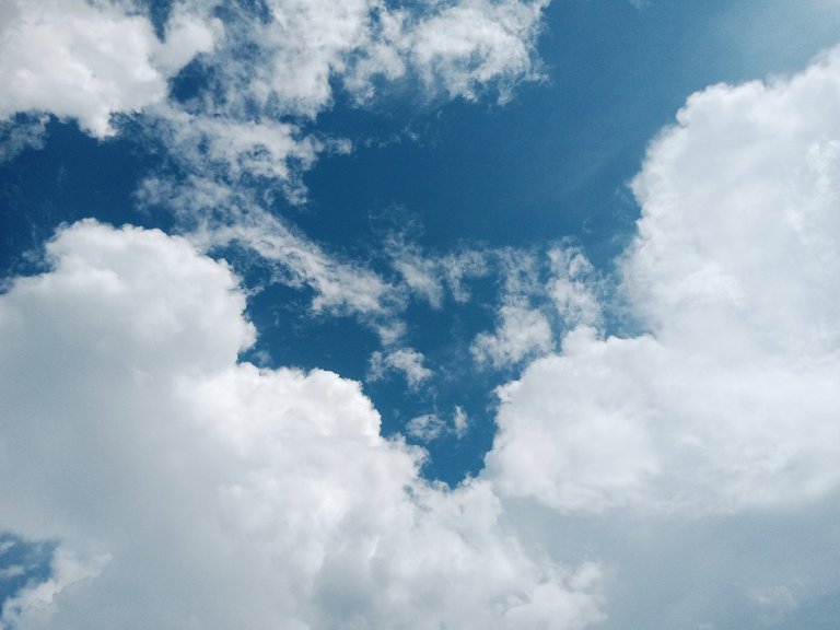 My Actifit Report Card: January 26 2026