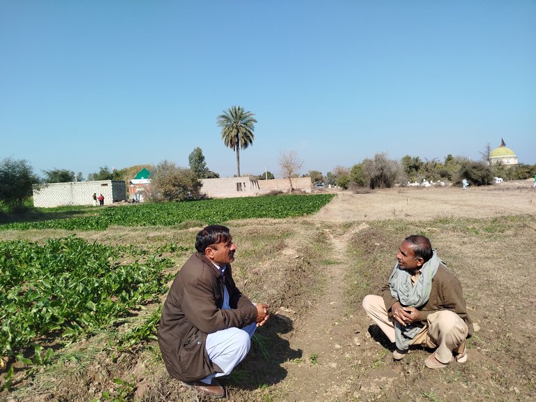 My Actifit Report Card: January 25 2026