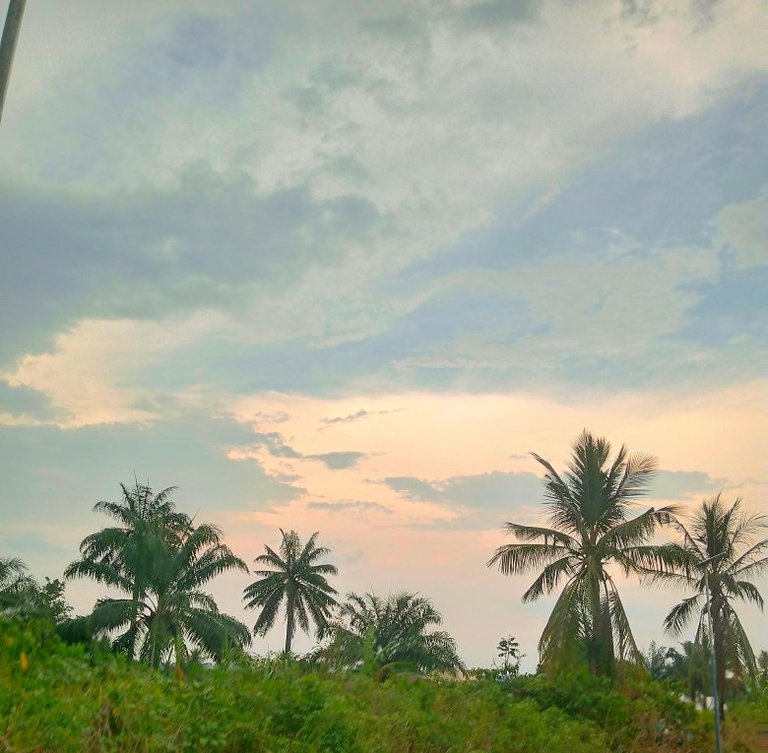 My Actifit Report Card: March 29 2026