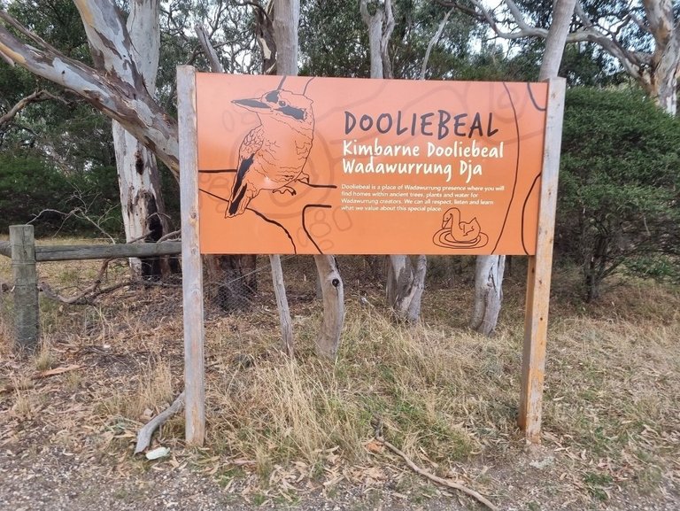 My Actifit Report Card: March 15 2026