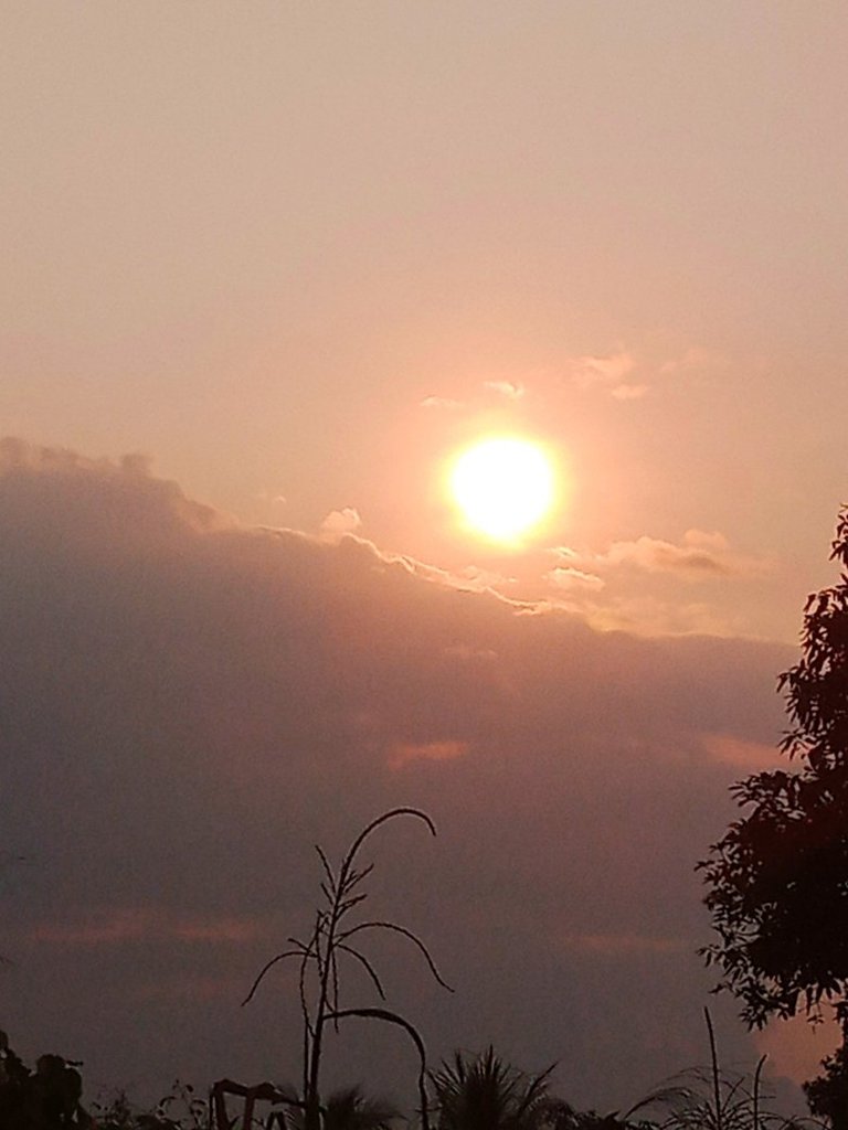 My Actifit Report Card: December 26 2025