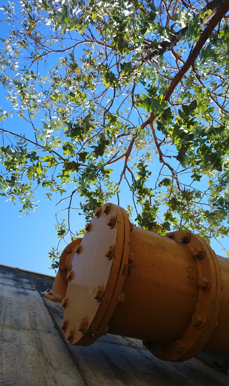 Sludge Main and Tree - Water Treatment Plant
