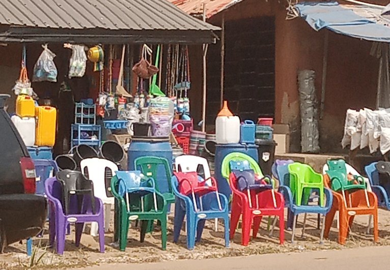 My Actifit Report Card: December 23 2025