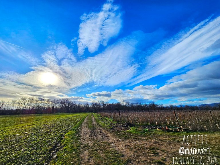 My Actifit Report Card: January 10 2026