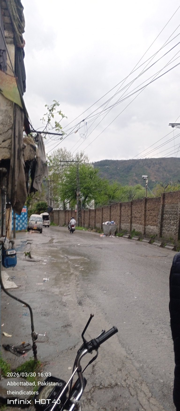 My Actifit Report Card: March 30 2026