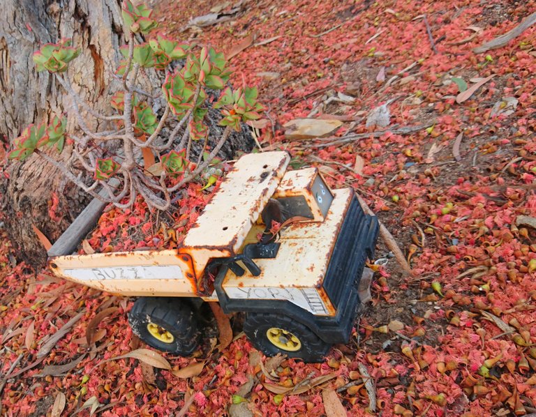 Toy Truck Pot Plant