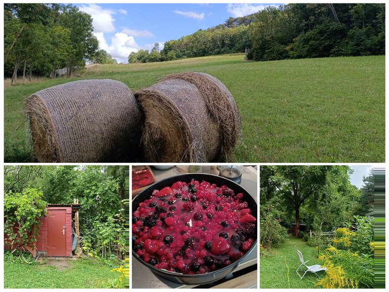 Mum's birthday 🎂 - My Actifit Report Card: August 30 2025