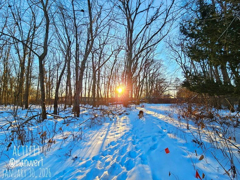 My Actifit Report Card: January 30 2026