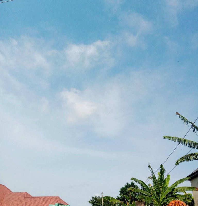 My Actifit Report Card: March 25 2026