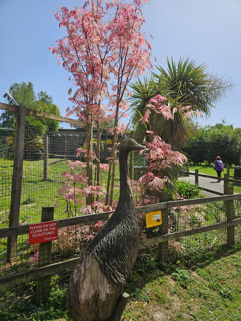 Hot trip to the nature centre!  : My Actifit Report Card: May 23 2026