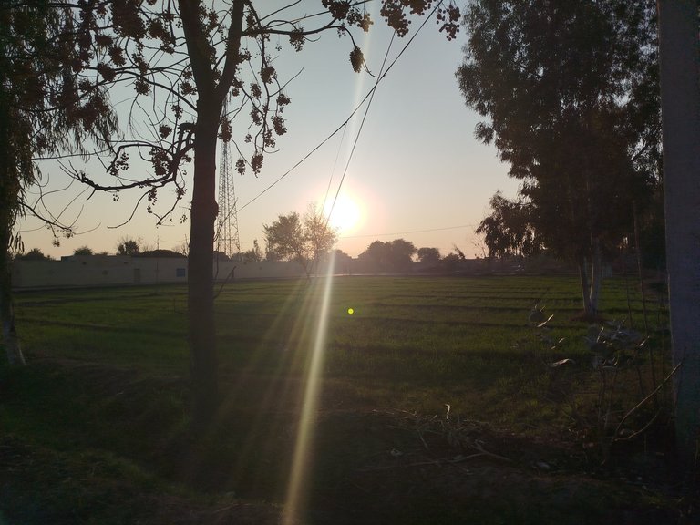 My Actifit Report Card: January 6 2026