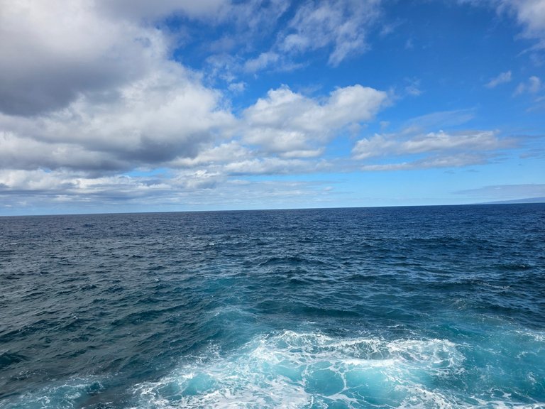 My Actifit Report Card: April 4 2026