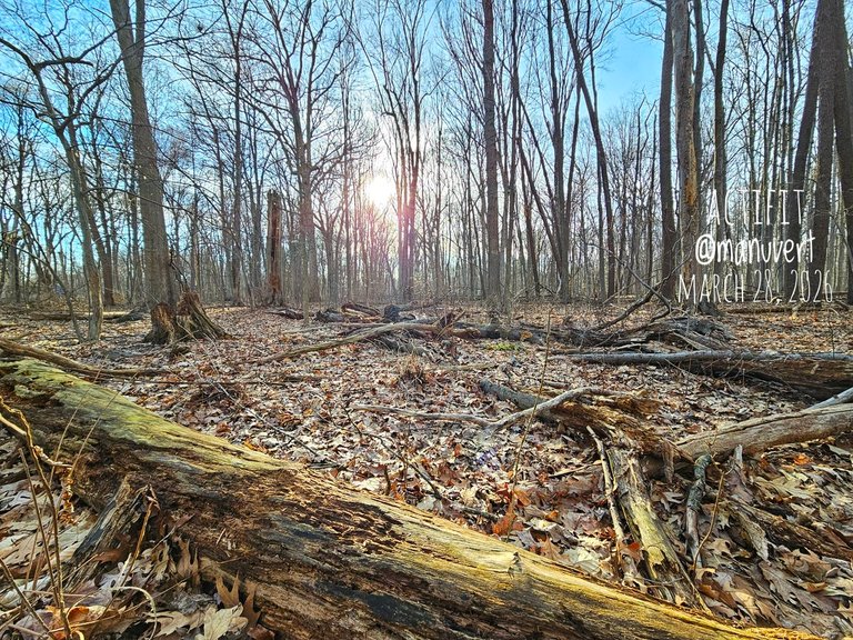 My Actifit Report Card: March 28 2026