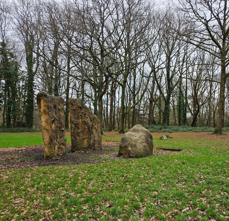 My Actifit Report Card: December 26 2025