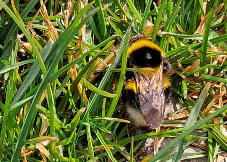 My Actifit Report Card: March 17 2026