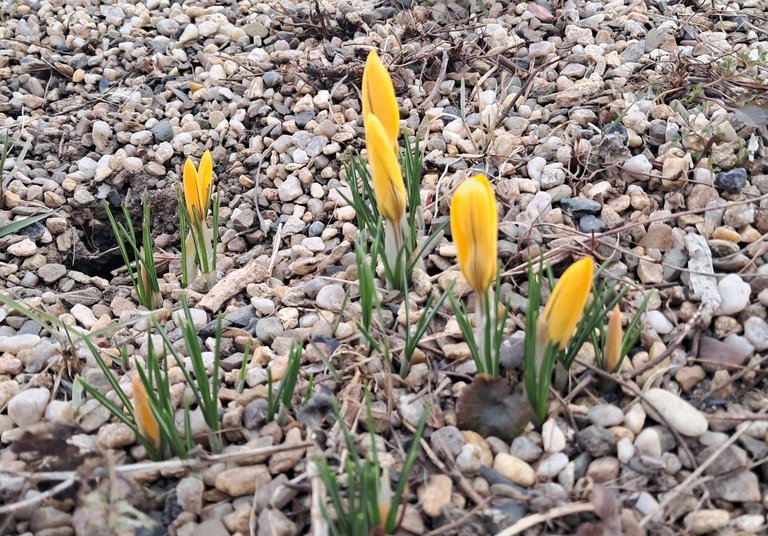 My Actifit Report Card: March 10 2026