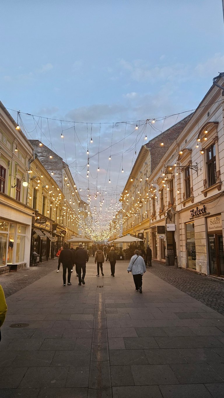 My Actifit Report Card: April 11 2026