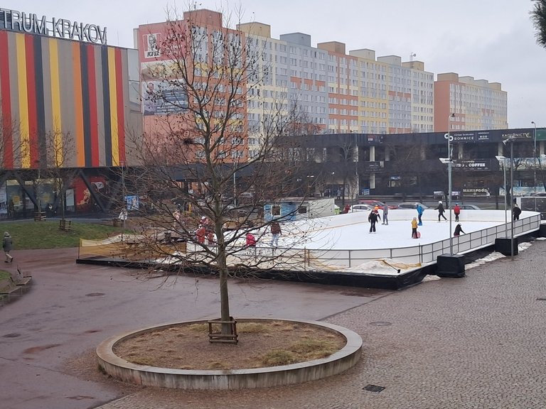 My Actifit Report Card: December 24 2025