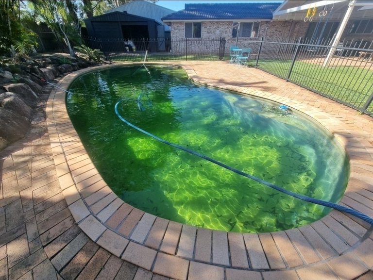 My Actifit Report Card: March 30 2026