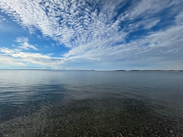 My Actifit Report Card: January 10 2026