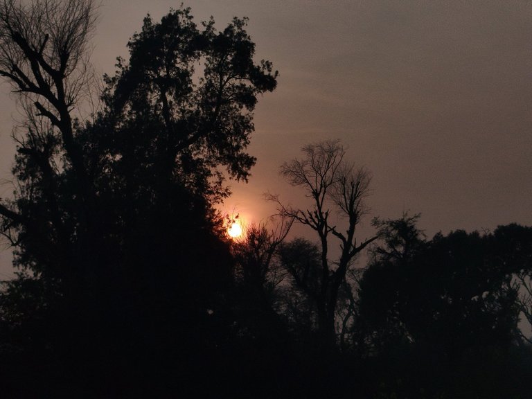 My Actifit Report Card: January 16 2026