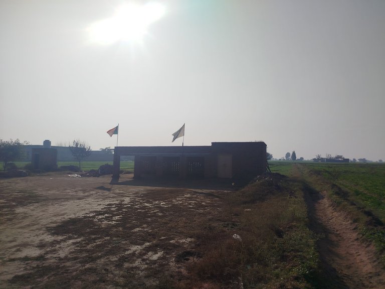 My Actifit Report Card: January 1 2026