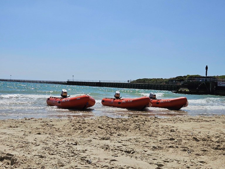 RNLI forever! : My Actifit Report Card: May 17 2025