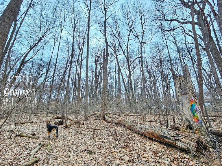 My Actifit Report Card: April 1 2026