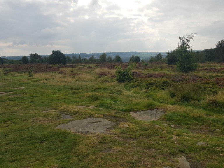 Shipley Glen Nature