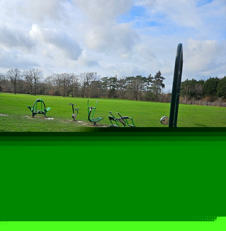 My Actifit Report Card: January 23 2026