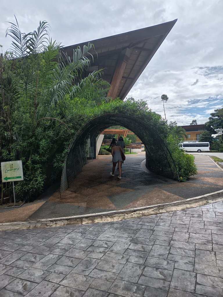My Actifit Report Card: June 30 2026