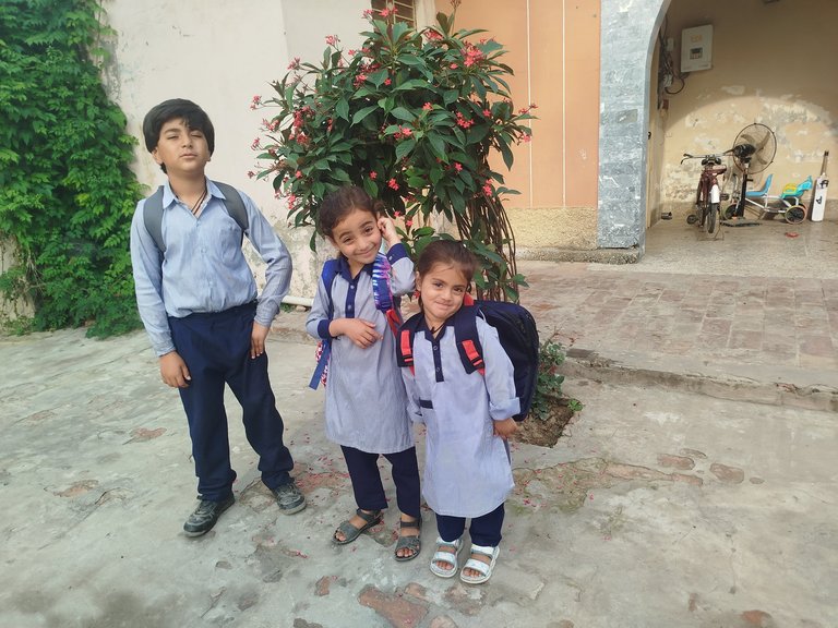 My Actifit Report Card: April 16 2026