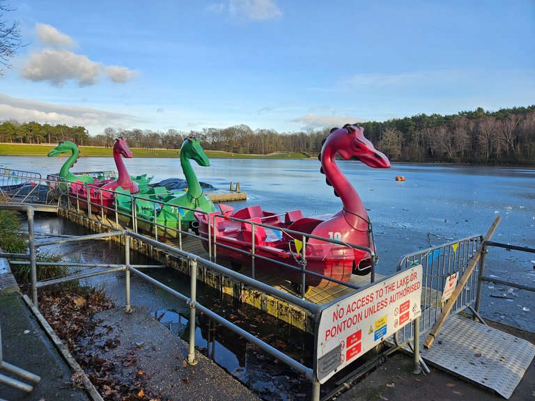 Ice hazzard!  : My Actifit Report Card: January 7 2026