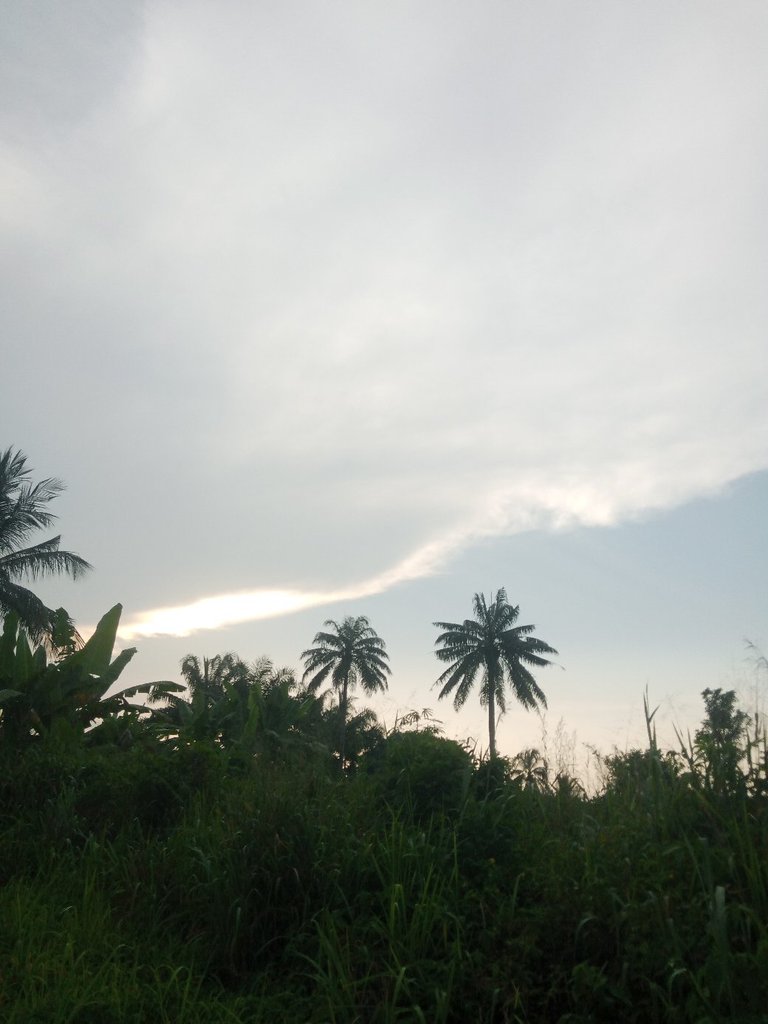 My Actifit Report Card: January 3 2026