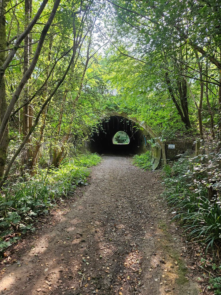 Three Parks Ride :  My Actifit Report Card: August 13 2024