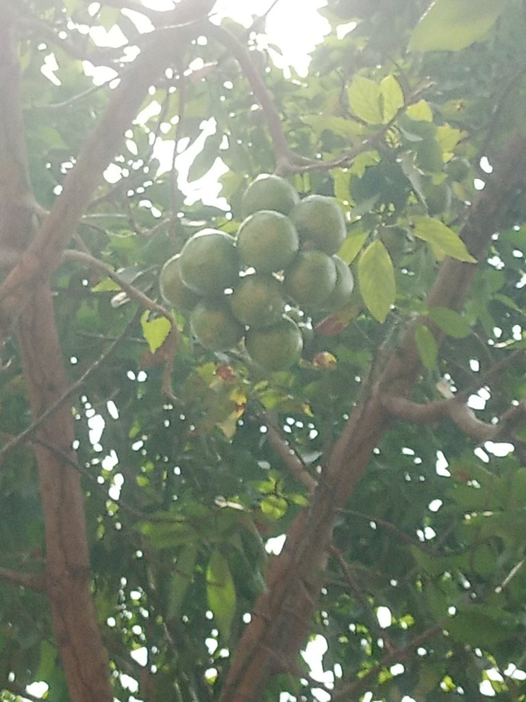 My Actifit Report Card: March 10 2026